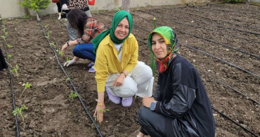 Altıntaş'ta Öğretmenler Yerli Tohumlarla Domates Fidesi Dikti