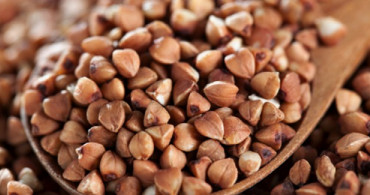 Alzheimer Hastalığının Çözümü Bu Besinde!