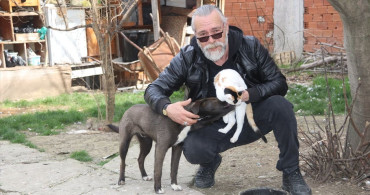 Amasya'da Oskar ve Çiçek'in Dostluğu