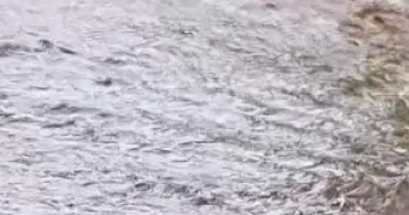Amasya'da Şiddetli Yağmur Köy Yollarını Sular Altında Bıraktı
