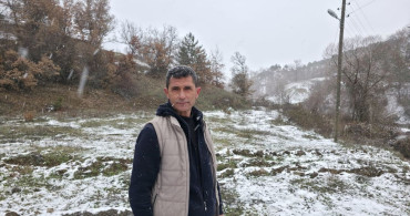 Amasya'da Yabani Ayı Yerleşim Alanında Görüntülendi