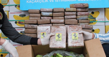 Ambarlı Limanı'nda Narkotik Operasyon