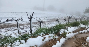 Ani Hava Değişimleri Tarımı Vurdu