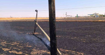 Anız yangınları enerji altyapısını tehdit ediyor