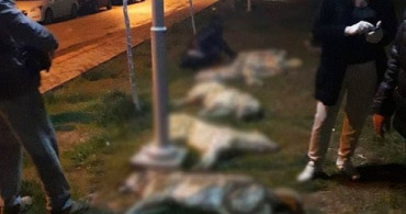 Ankara Yenimahalle'de 16 Köpeği Zehirleyen 3 Kişi Adliyeye Sevk Edildi