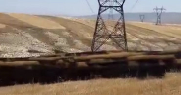 Ankara'da ekili arazide yangın