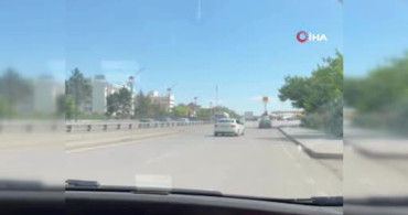 Ankara'da Kaçan Kurbanlık Dana Paniğe Neden Oldu