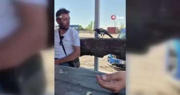 Ankara'da karganın masadaki parayı alıp kaçtığı anlar kamerada