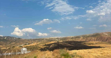 Ankara'nın Nallıhan ilçesinde arazide çıkan yangın kontrol altına alındı