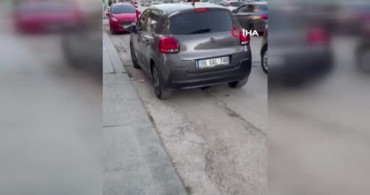 Ankara'nın Sincan ilçesinde sokakta fare paniği