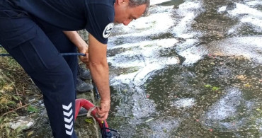 Antakya'da İtfaiye Ekipleri İneği Kurtardı