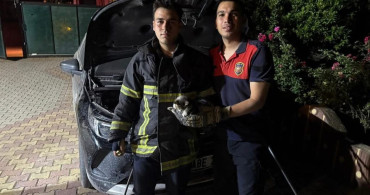 Antakya'da İtfaiye Ekipleri Kediyi Kurtardı