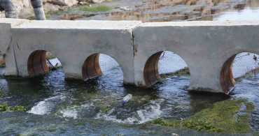 Antalya Büyükşehir Belediyesi'nin Yeşil Mirası: Geleceğe Yatırım