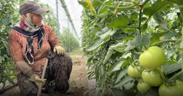 Sebze Üretiminde Türkiye’nin Lideri Antalya