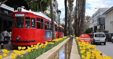 Antalya'da Baharın Renkleri: Laleler Sırayı Bildirdi