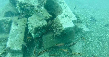 Antalya'da denize düşen beton ağırlıklardan yapay resif oluşturuldu