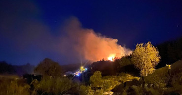 Antalya'da Orman Yangını: Ekipler Müdahalede Bulunuyor