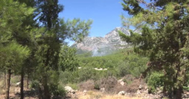 Antalya'da ormanlık alanda çıkan yangın büyümeden kontrol altına alındı