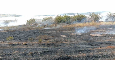 Antalya'da otluk alan yangını itfaiye ekipleri tarafından kontrol altına alındı
