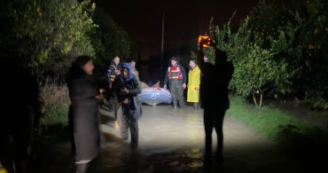 Antalya'da Su Baskınından Kurtarılan 27 Köpek