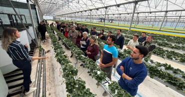 Antalya'da Üniversite Öğrencileri Topraksız Tarım ile Tanıştı