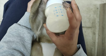 Antalya'da Uyuşturucu Operasyonu: 3 Gözaltı ve Ele Geçirilenler