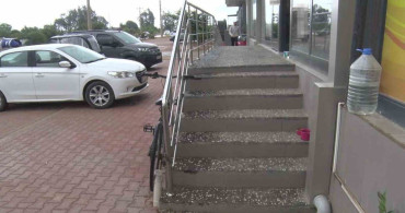 Antalya'da Yabancı Şahıs Hayvanlara Şiddet Uyguladı