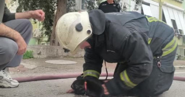 Antalya'da Yangında Kediyi Kalp Masajıyla Hayata Döndürdü