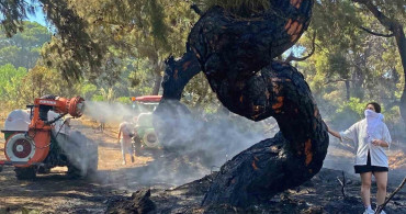 Antalya'da Yılın Fotoğrafı Ödülü İHA'ya Gitti