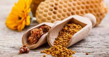 Antibiyotik Yerine Propolis Kullanın 