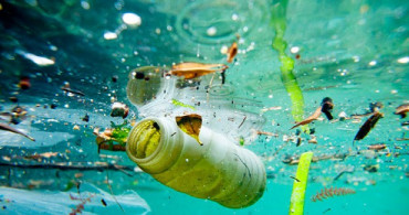 AP, Tek Kullanımlık Plastik Ürünleri Yasakladı