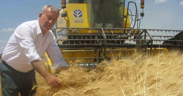 Araban Ovası’nda hububat hasadı devam ediyor