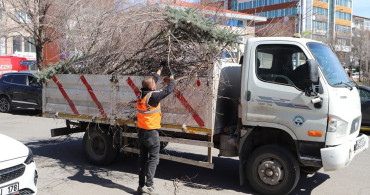 Ardahan Belediyesi'nden Ağaç Budama Çalışmaları