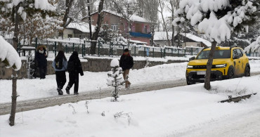 Ardahan ve Kars'ta Kar Yağışı Etkisi