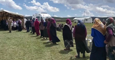 Ardahan Yaylasında Aşı Kuyruğu
