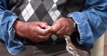 Ardahan'da bir adam kuşlara çekirdek sofrası kuruyor