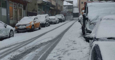 Ardahan'da Nisan Karı Baharı Unutturdu