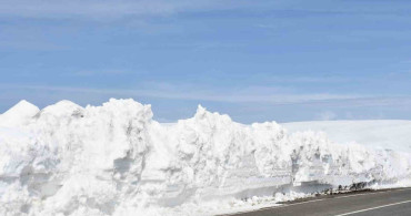 Ardahan'daki Arıcılar, Zorlu Kış Şartlarına Karşı Yolu Açma Çağrısı Yapıyor
