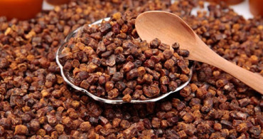 Arı Ekmeği Nedir? Nasıl Tüketilir?