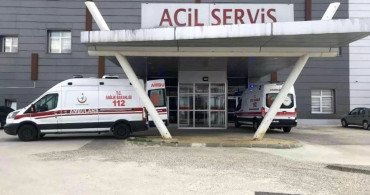 Arı Saldırısında Yaşlı Çift Hastaneye Kaldırıldı
