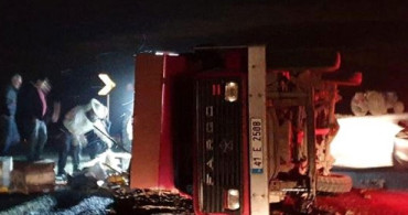 Arı Yüklü Kamyonet Kaza Yaptı, Arılar 12 Kişiyi Yaraladı