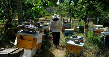 Arılar, çiçekte ballı sene için yaylaları tercih ediyor