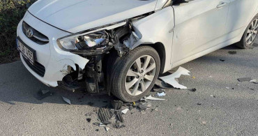 Arnavutköy'de Başiboz At Araçlara Çarptı