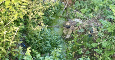Arnavutköy'de Yeşil Su Alarmı