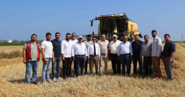 Arsuz'da buğday hasadı devam ediyor