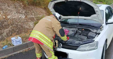 Arsuz'da Yavru Kediler Kurtarıldı