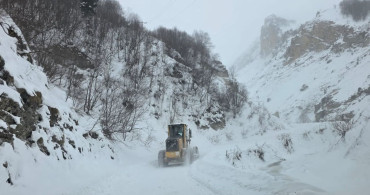 Artvin'de Çığ Felaketi: Ekipler Çalışmalarını Sürdürüyor