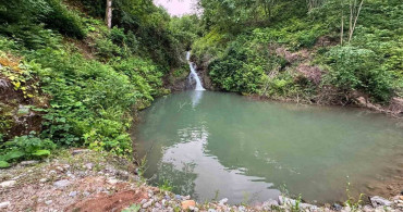 Artvin'de imam ve müezzin gölette boğulma tehlikesi geçirdi