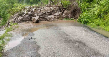 Artvin'de Şiddetli Yağışlar Taşkınlara Neden Oldu