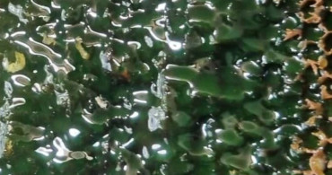 Artvin'de yeni bal sezonu öncesi arıcılarla buluşma